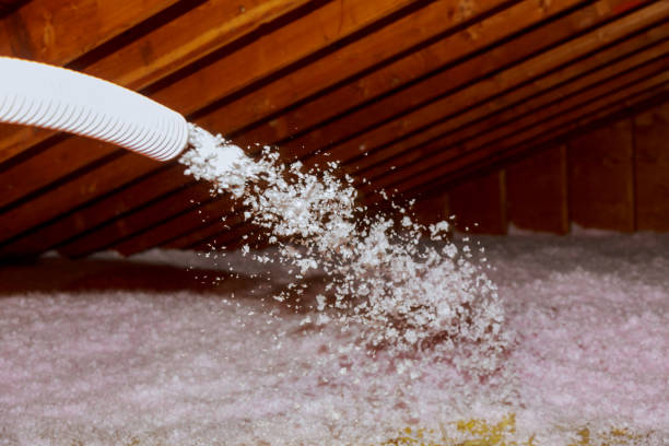 Best Attic Insulation Installation  in Baden, PA