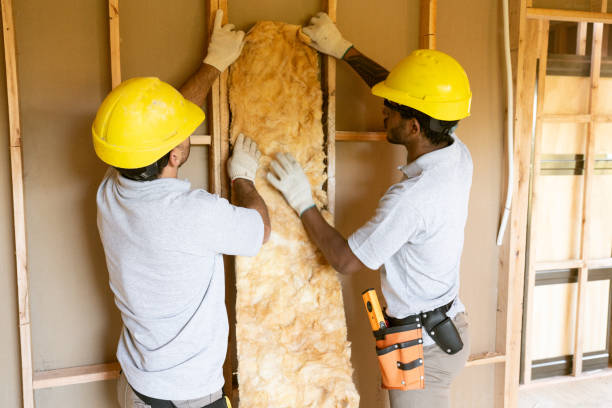 Best Home Insulation Services  in Baden, PA