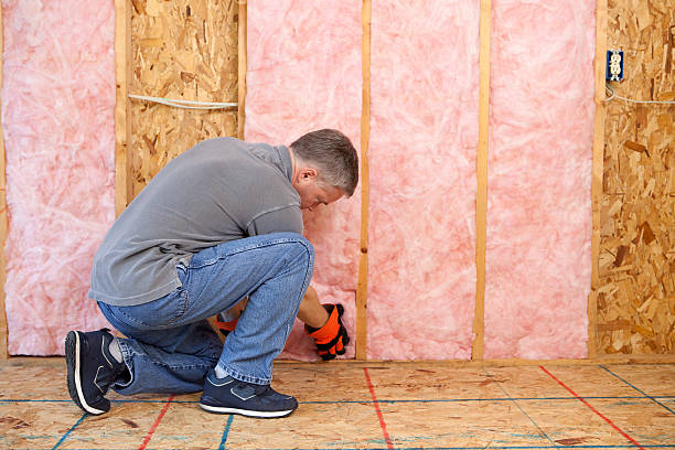 Best Insulation Contractors for Homes  in Baden, PA